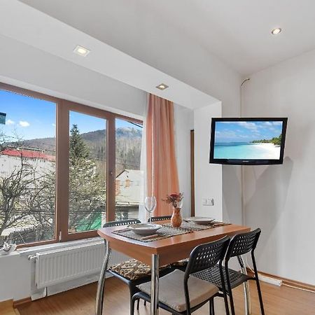 Cozy Montain Studio Appartement Sinaia Buitenkant foto