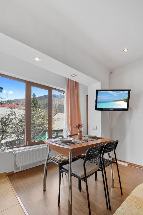 Cozy Montain Studio Appartement Sinaia Buitenkant foto