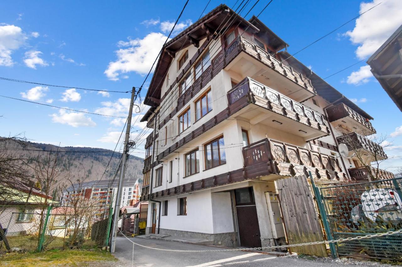 Cozy Montain Studio Appartement Sinaia Buitenkant foto