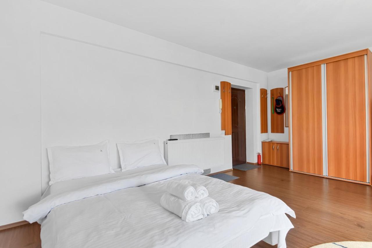Cozy Montain Studio Appartement Sinaia Buitenkant foto